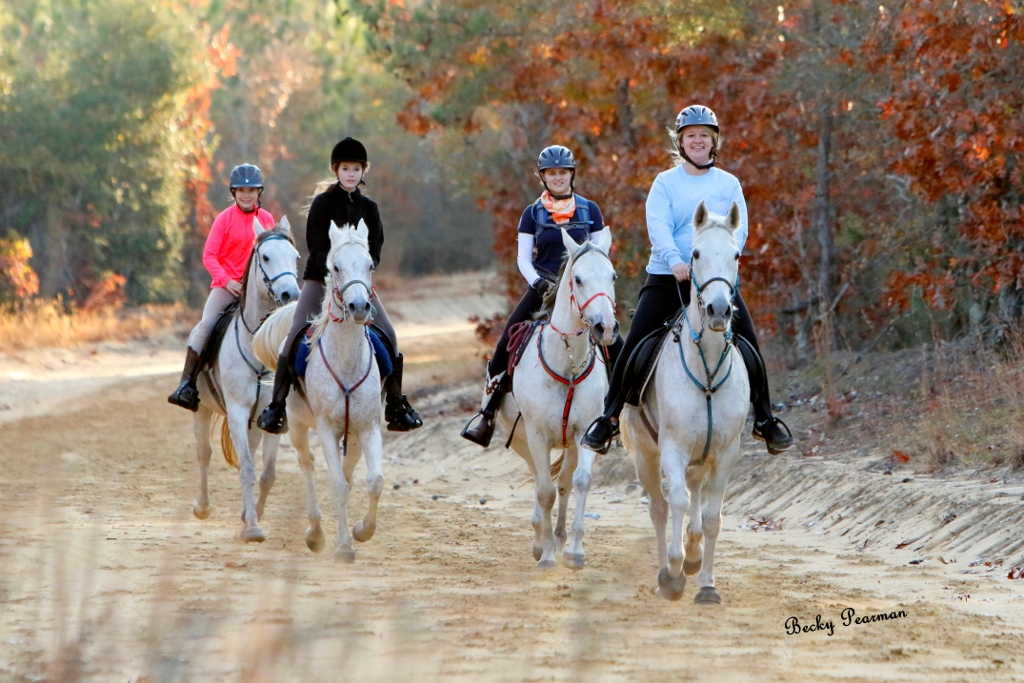 Carolina Endurance IDR/25/50/75/100 Ride&Tie/ Endurance, Patrick, SC @ Winery Rd Patrick, SC