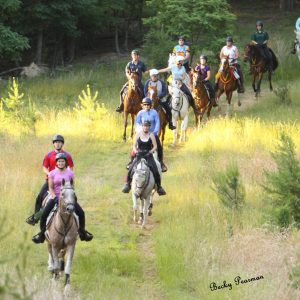 2026 AHA-FHA-FL100 Rookie Clinic @ FL Cracker Horse/Zicheck Preserve