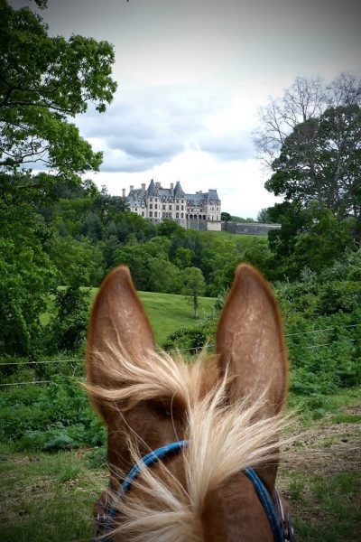 Biltmore Endurance Challenge 25/50 & 30/55/75/100 Endurance, Asheville, NC @ Biltmore Equestrian Center