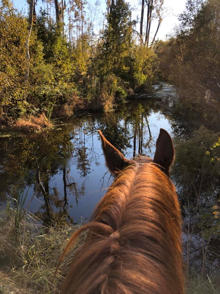 Broxton Bridge: Ride in the Low Country IDR/25/30/50/65/75/100 End Ehrhardt, SC @ Broxton Bridge, Ehrhardt SC