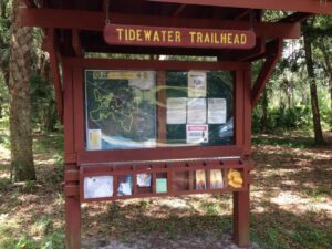 Goethe Gallivant Endurance IDR/25/30/50/65/75/100, Dunnellon, FL @ Tidewater Trailhead of Goethe State Forest