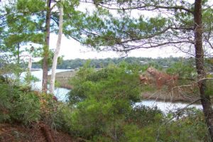 Scenic Spruce Creek Spring No Frills Elevator IDR/25/25/50 New Smyrna Beach, FL @ Doris Leeper Spruce Creek Preserve Kaye Place