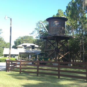 Autumn Gallop to Benefit Camp Boggy Creek 30/50 Eustis, FL