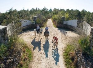 Florida 3 Day 100 CTR 40/35/25/Intro, Mileage Only, Ride and Tie Ocala, FL @ Florida Greenway Trails