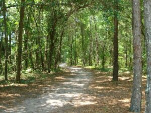 McCulley Farms IDR/25/50 2 Day 50/100 Endurance, Jasper, FL @ McCulley Farms