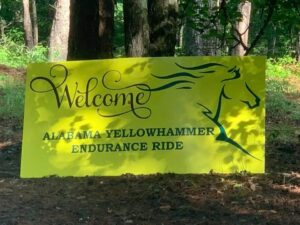 Yellowhammer IDR/30/50 Endurance/Ride & Tie, Fruithurst, AL @ Talladega Nat'l Forest-Warden Station Horse Camp