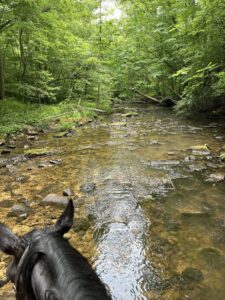 Big South Fork Endurance & Ride and Tie both days! @ Big South Fork National River and Recreation Area